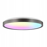 Стельовий смарт-світильник Xiaomi Yeelight Ceiling Light Jupiter DC600 Brushed Grey (YLXDD-0273)