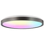 Стельовий смарт-світильник Xiaomi Yeelight RGB Smart Ceiling Light Jupiter D C500 Brushed Grey (YLXDD-0271)