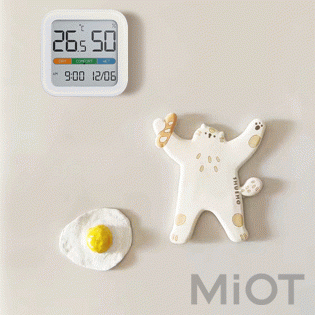 Цифровий Гігрометр Xiaomi MiiiW Temperature and Humidity Meter White NK5253