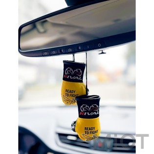 Боксерские перчатки Александра Усика и RTF, Rival Mini, подвес зеркала заднего вида, официальный мерчандайз MBG-YL-1