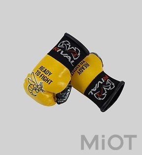 Боксерские перчатки Александра Усика и RTF, Rival Mini, подвес зеркала заднего вида, официальный мерчандайз MBG-YL-1