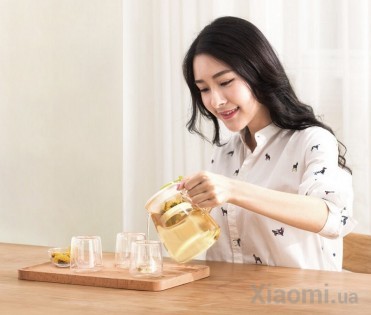 Набор для чая Xiaomi 17PIN Tea Fun Pot Set Чайник 800ml+ стаканы 4*95ml