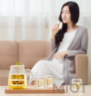 Набір для чаю Xiaomi 17PIN Tea Fun Pot Set Чайник 800ml + склянки 4 * 95ml