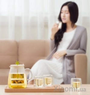Набор для чая Xiaomi 17PIN Tea Fun Pot Set Чайник 800ml+ стаканы 4*95ml