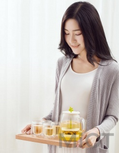 Набір для чаю Xiaomi 17PIN Tea Fun Pot Set Чайник 800ml + склянки 4 * 95ml