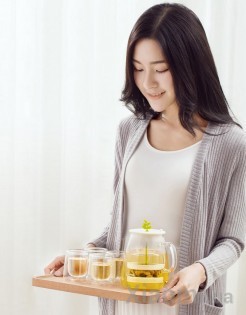 Набор для чая Xiaomi 17PIN Tea Fun Pot Set Чайник 800ml+ стаканы 4*95ml