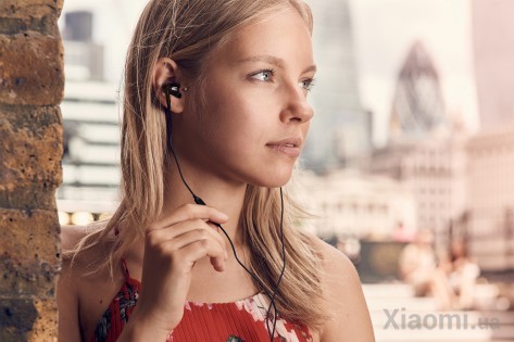 Наушники Xiaomi 1MORE Dual Driver In-Ear Headphones Black