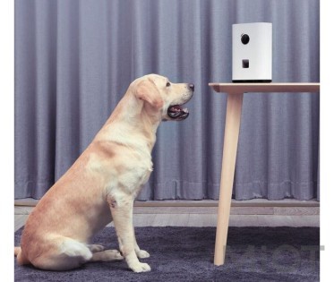 Кормушка для домашних животных Xiaomi Pawbby (White)