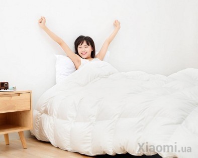 Одеяло пуховое Xiaomi 8H Y1 220*240 см 1700 г