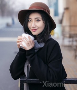 Шляпка 90 Exquisite How Wool Felt Hat Brown