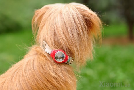 Amazpet HaIII's Smart Dog Tracker Red