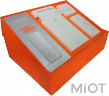 Подарунковий набір Xiaomi Autumn Smart Set UGD4186CN