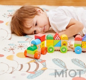 Дерев'яний паровозик Xiaomi BEVA MW-PZ003