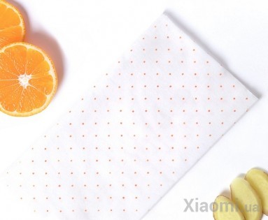 Салфетки влажные Clean kitchen wipes 30 psc 200*300 mm