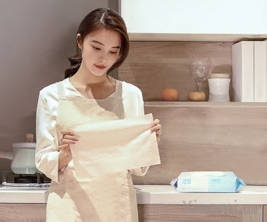 Салфетки влажные Clean kitchen wipes 30 psc 200*300 mm