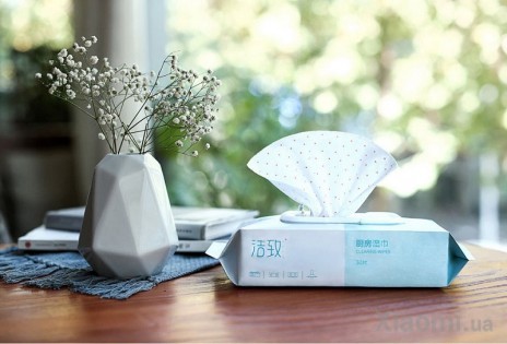 Салфетки влажные Clean kitchen wipes 30 psc 200*300 mm