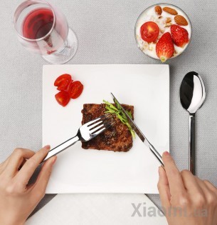 Набор столовых приборов Xiaomi Huo Hou Fire Stainless Steel Cutlery spoon Silver