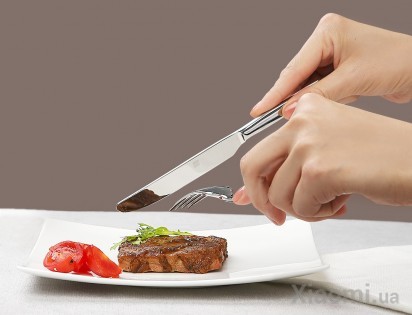 Набор столовых приборов Xiaomi Huo Hou Fire Stainless Steel Cutlery spoon Silver