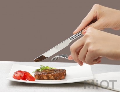 Набір столових приладів Xiaomi Huo Hou Fire Stainless Steel Cutlery spoon Silver