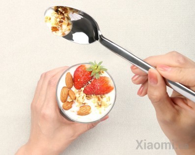 Набор столовых приборов Xiaomi Huo Hou Fire Stainless Steel Cutlery spoon Silver