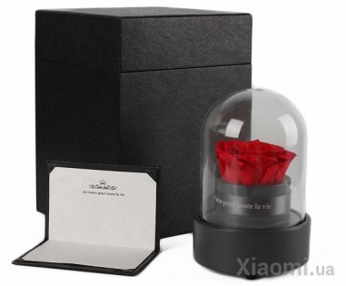 Музыкальная шкатулка Forever Rose