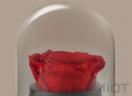 Музична шкатулка Forever Rose