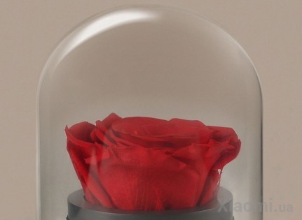 Музыкальная шкатулка Forever Rose