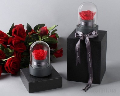 Музыкальная шкатулка Forever Rose