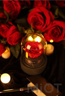 Музична шкатулка Forever Rose