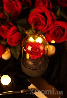 Музыкальная шкатулка Forever Rose