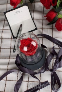 Музыкальная шкатулка Forever Rose