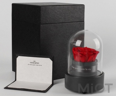 Музична шкатулка Forever Rose