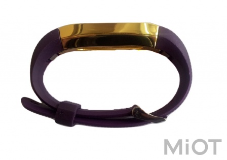 Ремінець до Xiaomi Mi Band 2 з металевим кріпленням Purple/Gold