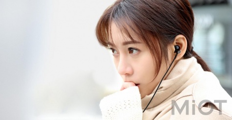 Навушники з мікрофоном Xiaomi Mi Dual Driver Earphones Black (ZBW4407TY)