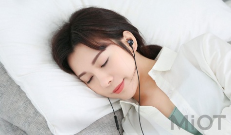 Навушники з мікрофоном Xiaomi Mi Dual Driver Earphones Black (ZBW4407TY)