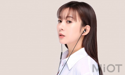Навушники з мікрофоном Xiaomi Mi Dual Driver Earphones Black (ZBW4407TY)