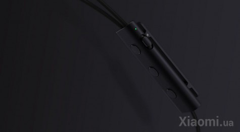 Наушники с микрофоном Xiaomi Mi Noise Cancelling Earphones Black (ZBW4386TY)