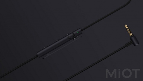 Навушники з мікрофоном Xiaomi Mi Noise Cancelling Earphones Black (ZBW4386TY)