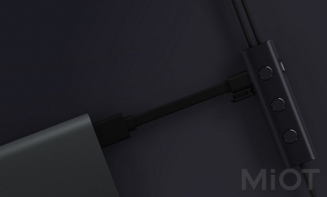 Навушники з мікрофоном Xiaomi Mi Noise Cancelling Earphones Black (ZBW4386TY)
