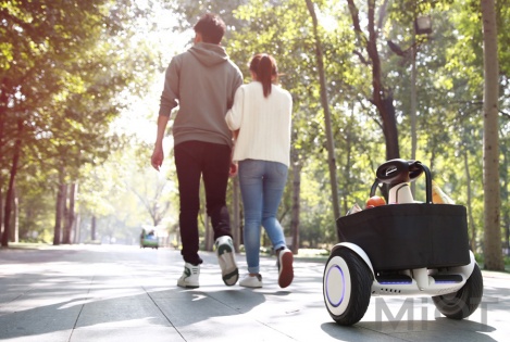 Сумка для Xiaomi Ninebot Plus Bag Black (PJ01ZWK)