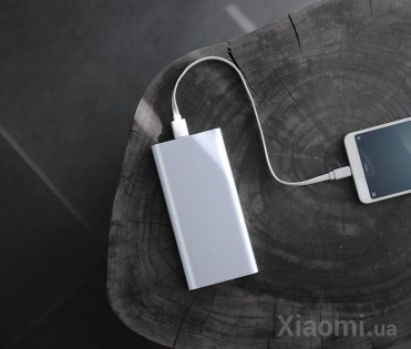 Универсальная батарея Xiaomi Mi Power Bank 2s 10 000 mAh Silver (PLM09ZM-SL)