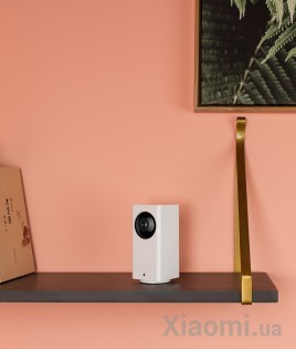 IP камера Mi Home (Mijia) Dafang DF3 360° PTZ 1080P