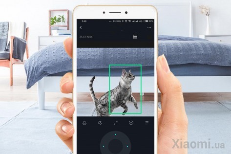 IP камера Mi Home (Mijia) Dafang DF3 360° PTZ 1080P