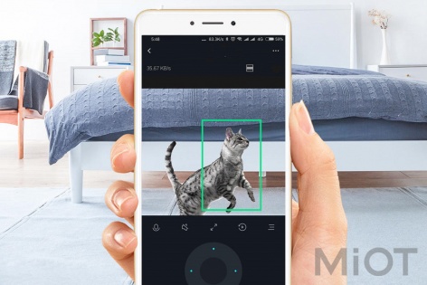 IP камера Mi Home (Mijia) Dafang DF3 360° PTZ 1080P