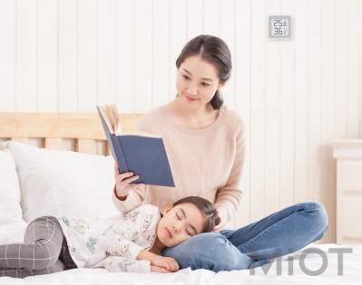 Цифровий гігрометр Xiaomi Miaomiaoce E-ink Hygrothermograph White MHO-C201