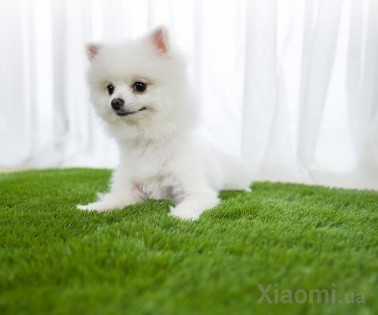 Коврик газон Nami multifunctional lawn carpet 160x230 см