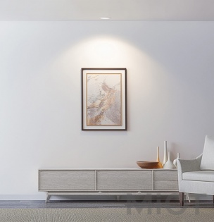 Вбудований світильник Xiaomi Philips Zhirui Downlight Version