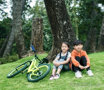Велосипед Xiaomi QiCYCLE XC200 Yellow
