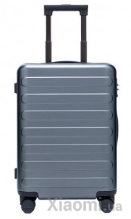 Чемодан Xiaomi Ninetygo Business Travel Luggage 24" Titanium Grey (6970055343459/6941413216685)