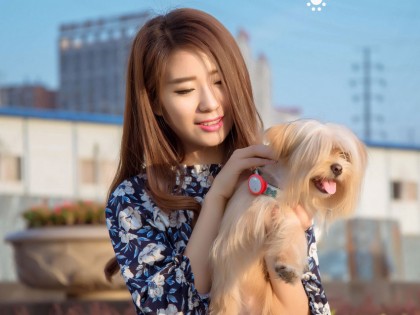 Поводок Xiaomi Amazpet Dog Strip 18-23x1 Pink